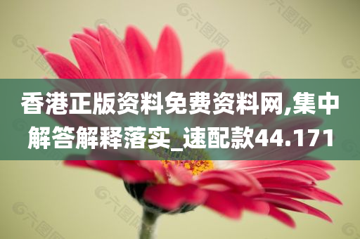 香港正版资料免费资料网,集中解答解释落实_速配款44.171