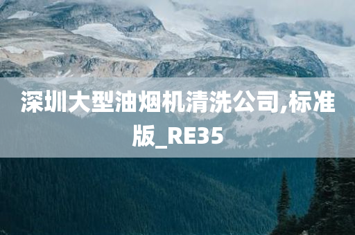 深圳大型油烟机清洗公司,标准版_RE35