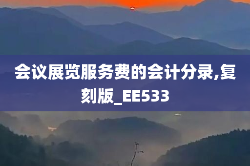 会议展览服务费的会计分录,复刻版_EE533