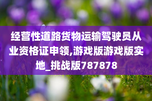 经营性道路货物运输驾驶员从业资格证申领,游戏版游戏版实地_挑战版787878