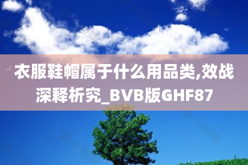 衣服鞋帽属于什么用品类,效战深释析究_BVB版GHF87