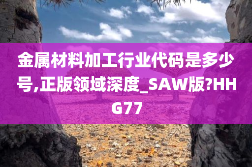 金属材料加工行业代码是多少号,正版领域深度_SAW版?HHG77