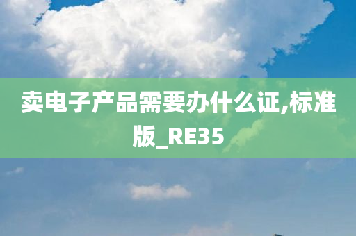 卖电子产品需要办什么证,标准版_RE35