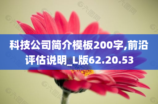 科技公司简介模板200字,前沿评估说明_L版62.20.53