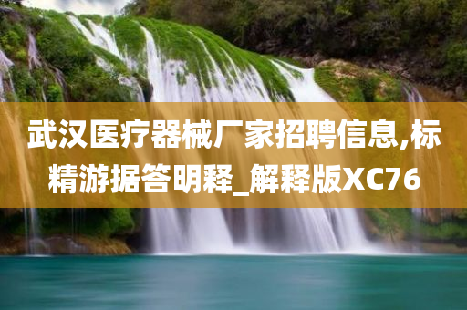 武汉医疗器械厂家招聘信息,标精游据答明释_解释版XC76