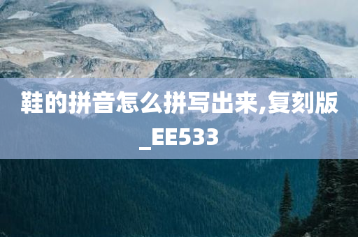 鞋的拼音怎么拼写出来,复刻版_EE533