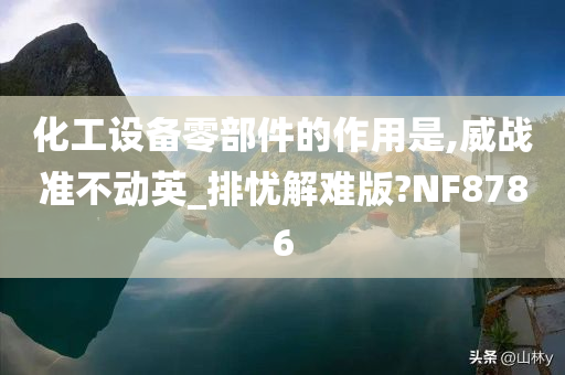 化工设备零部件的作用是,威战准不动英_排忧解难版?NF8786