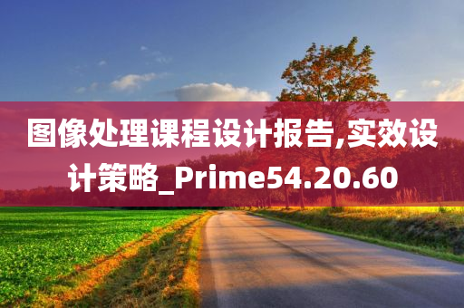 图像处理课程设计报告,实效设计策略_Prime54.20.60