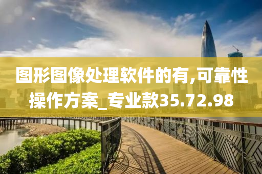 图形图像处理软件的有,可靠性操作方案_专业款35.72.98