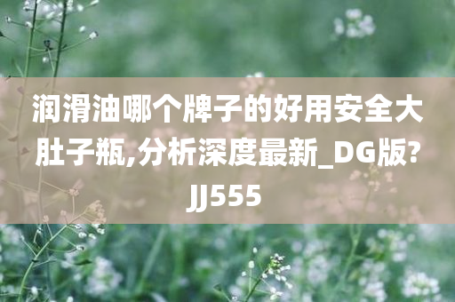 润滑油哪个牌子的好用安全大肚子瓶,分析深度最新_DG版?JJ555