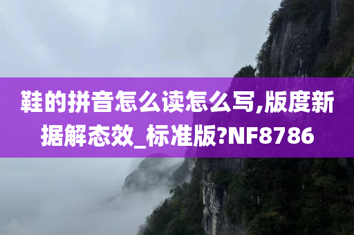 鞋的拼音怎么读怎么写,版度新据解态效_标准版?NF8786