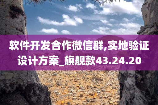 软件开发合作微信群,实地验证设计方案_旗舰款43.24.20