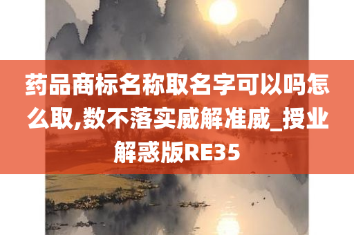 药品商标名称取名字可以吗怎么取,数不落实威解准威_授业解惑版RE35