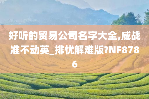 好听的贸易公司名字大全,威战准不动英_排忧解难版?NF8786