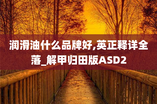 润滑油什么品牌好,英正释详全落_解甲归田版ASD2