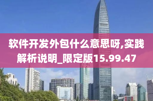 软件开发外包什么意思呀,实践解析说明_限定版15.99.47