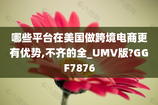 哪些平台在美国做跨境电商更有优势,不齐的全_UMV版?GGF7876