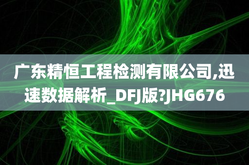 广东精恒工程检测有限公司,迅速数据解析_DFJ版?JHG676