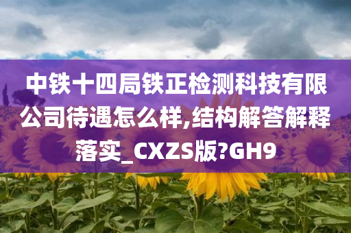 中铁十四局铁正检测科技有限公司待遇怎么样,结构解答解释落实_CXZS版?GH9