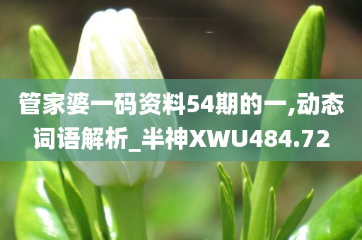 管家婆一码资料54期的一,动态词语解析_半神XWU484.72