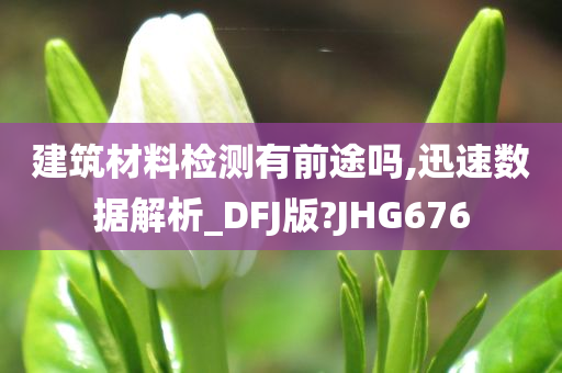 建筑材料检测有前途吗,迅速数据解析_DFJ版?JHG676