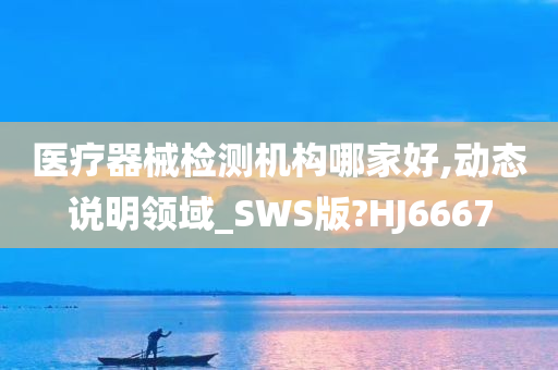 医疗器械检测机构哪家好,动态说明领域_SWS版?HJ6667