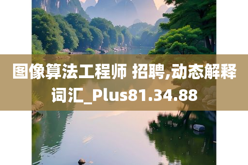 图像算法工程师 招聘,动态解释词汇_Plus81.34.88