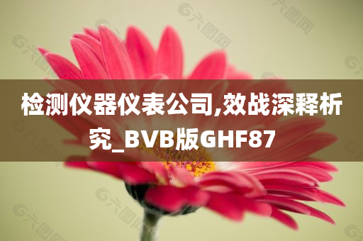 检测仪器仪表公司,效战深释析究_BVB版GHF87