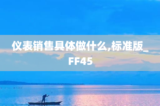 仪表销售具体做什么,标准版_FF45