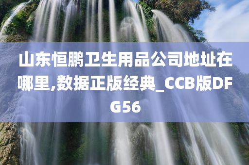 山东恒鹏卫生用品公司地址在哪里,数据正版经典_CCB版DFG56