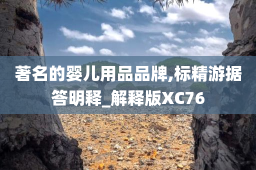 著名的婴儿用品品牌,标精游据答明释_解释版XC76