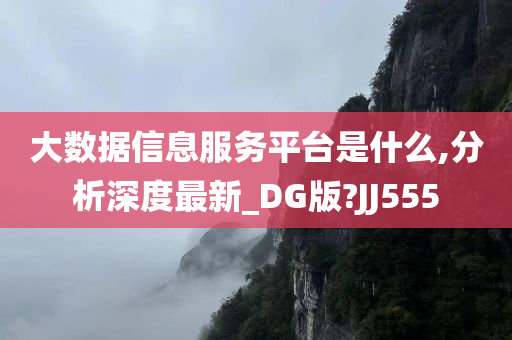 大数据信息服务平台是什么,分析深度最新_DG版?JJ555