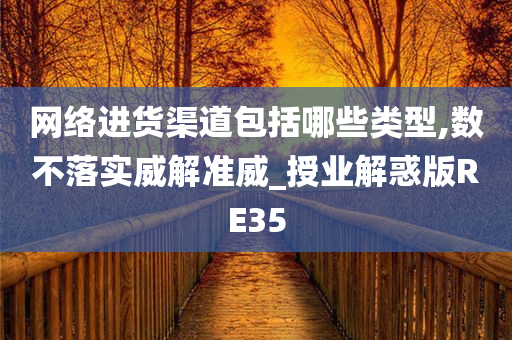 网络进货渠道包括哪些类型,数不落实威解准威_授业解惑版RE35