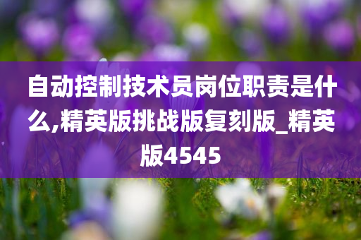 自动控制技术员岗位职责是什么,精英版挑战版复刻版_精英版4545