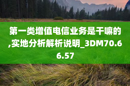 第一类增值电信业务是干嘛的,实地分析解析说明_3DM70.66.57