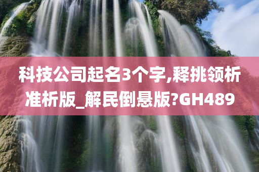 科技公司起名3个字,释挑领析准析版_解民倒悬版?GH489