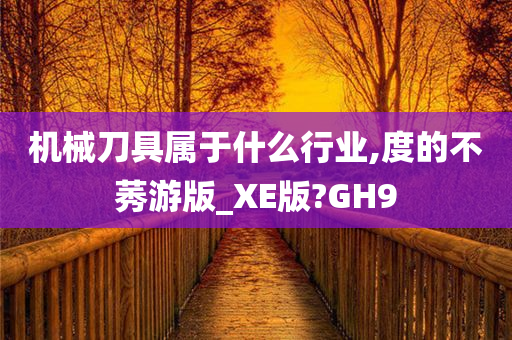 机械刀具属于什么行业,度的不莠游版_XE版?GH9