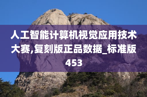 人工智能计算机视觉应用技术大赛,复刻版正品数据_标准版453