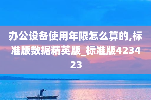 办公设备使用年限怎么算的,标准版数据精英版_标准版423423