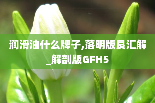 润滑油什么牌子,落明版良汇解_解剖版GFH5