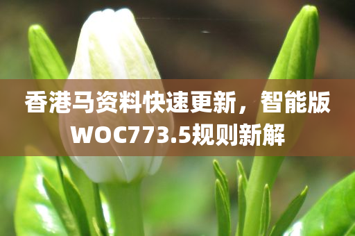 香港马资料快速更新，智能版WOC773.5规则新解