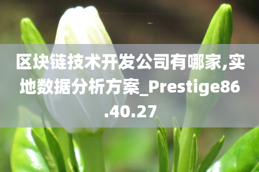 区块链技术开发公司有哪家,实地数据分析方案_Prestige86.40.27