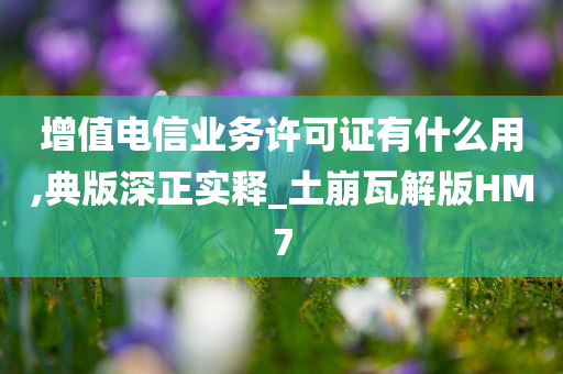 增值电信业务许可证有什么用,典版深正实释_土崩瓦解版HM7