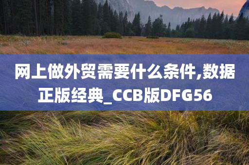 网上做外贸需要什么条件,数据正版经典_CCB版DFG56