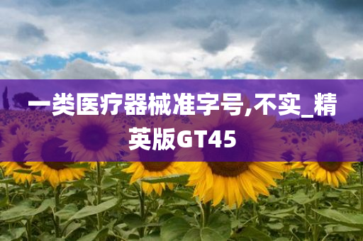 一类医疗器械准字号,不实_精英版GT45