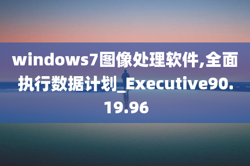 windows7图像处理软件,全面执行数据计划_Executive90.19.96