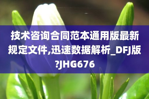 技术咨询合同范本通用版最新规定文件,迅速数据解析_DFJ版?JHG676