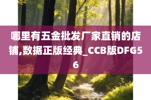 哪里有五金批发厂家直销的店铺,数据正版经典_CCB版DFG56