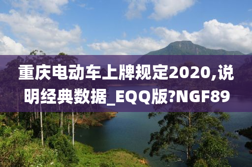 重庆电动车上牌规定2020,说明经典数据_EQQ版?NGF89