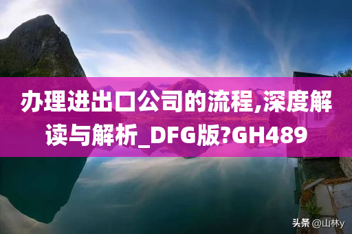 办理进出口公司的流程,深度解读与解析_DFG版?GH489